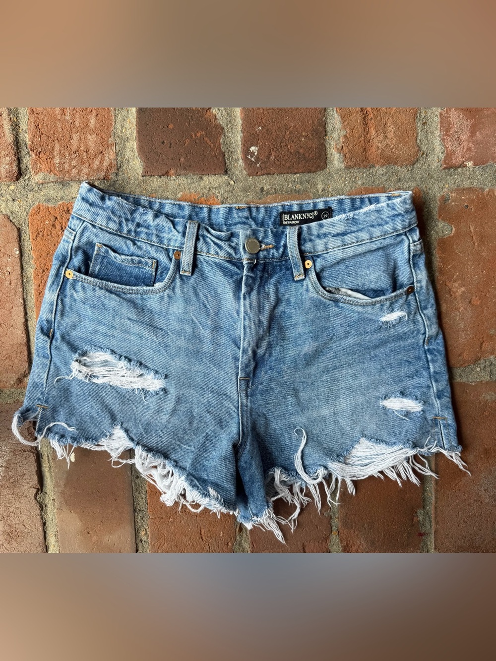 BlankNYC The Barrow Distressed  Denim Cutoff Shorts